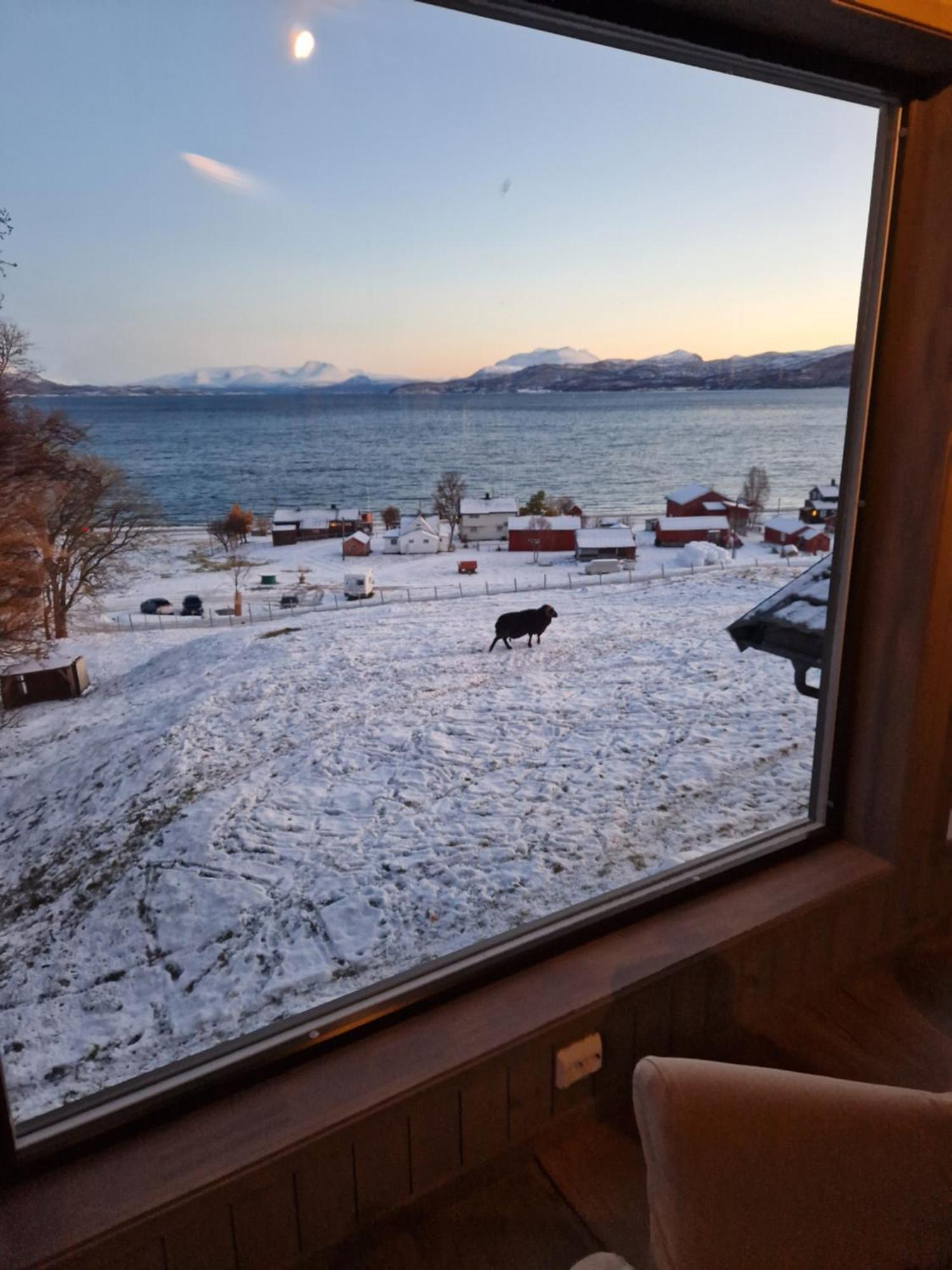Yggdrasil Farmhotel Retreat, Spa & Yoga Straumsbukta Εξωτερικό φωτογραφία