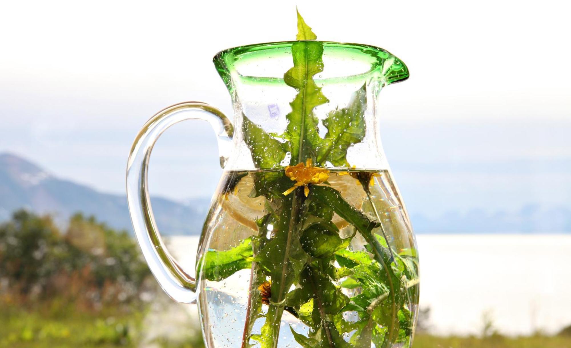 Yggdrasil Farmhotel Retreat, Spa & Yoga Straumsbukta Εξωτερικό φωτογραφία