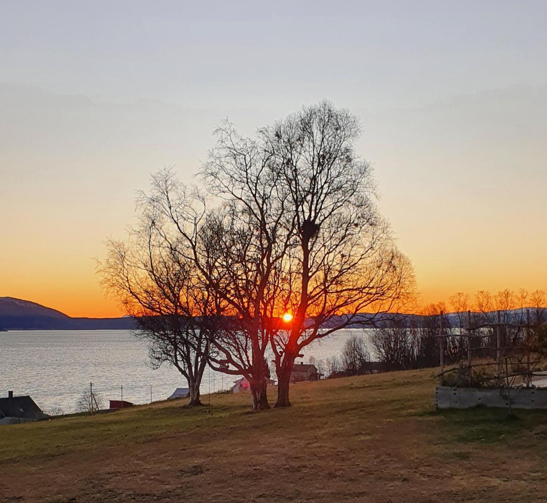 Yggdrasil Farmhotel Retreat, Spa & Yoga Straumsbukta Εξωτερικό φωτογραφία